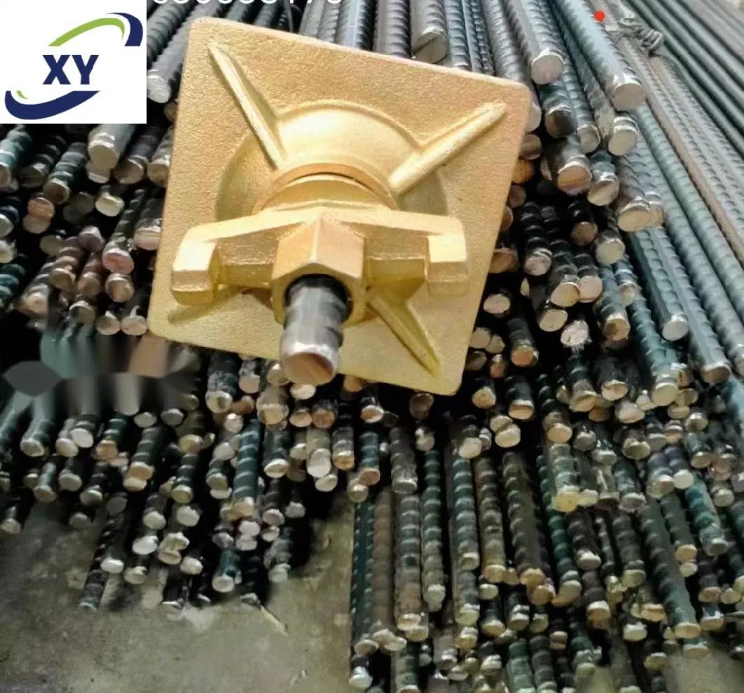 D15/17 Hot Rolled Steel Rebar Steel Coil Rod Threaded Rod and Formwork Tie Rod with Wing Nut Formwork System Scaffold Tie Rod