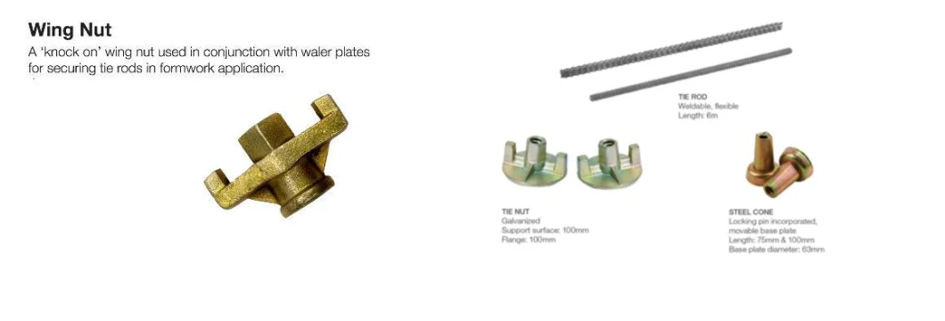 D15/17 Hot Rolled /Cold Rolled Steel Rebar Steel Coil Rod Threaded Rod and Formwork Tie Rod with Wing Nut