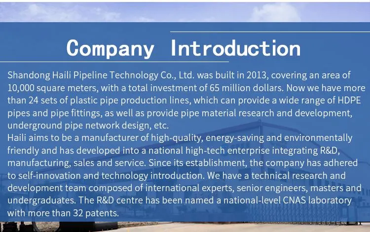 Blue Line Poly Pipe PE Coupling 40mm Poly Pipe Fittings